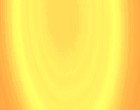 www pfadfinder